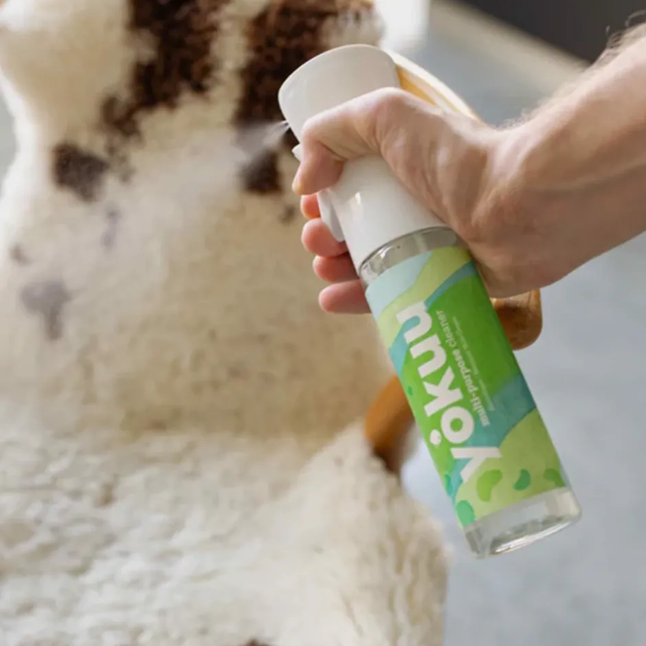 YOKUU Schoonmaakproducten | Schoonmaakproducten*Allesreiniger Startkit - 1 Sprayfles + 1 Parel