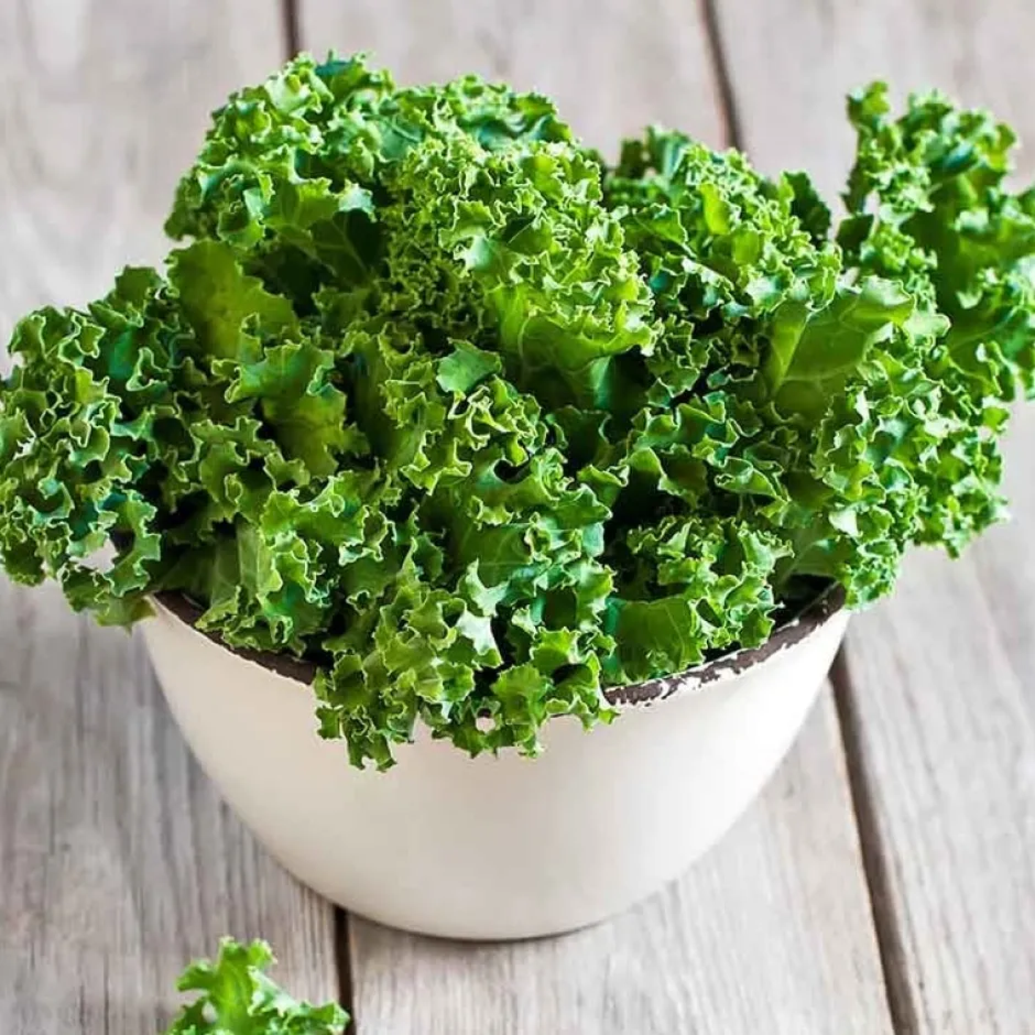 De Bolster Koolgewassen | Groenten*Boerenkool ‘Westlandse Winter’ - 1g - BIO