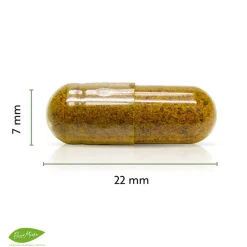 Puur Mieke Immuunsysteem | Specials*Canadese Geelwortel - 480mg - 90 caps