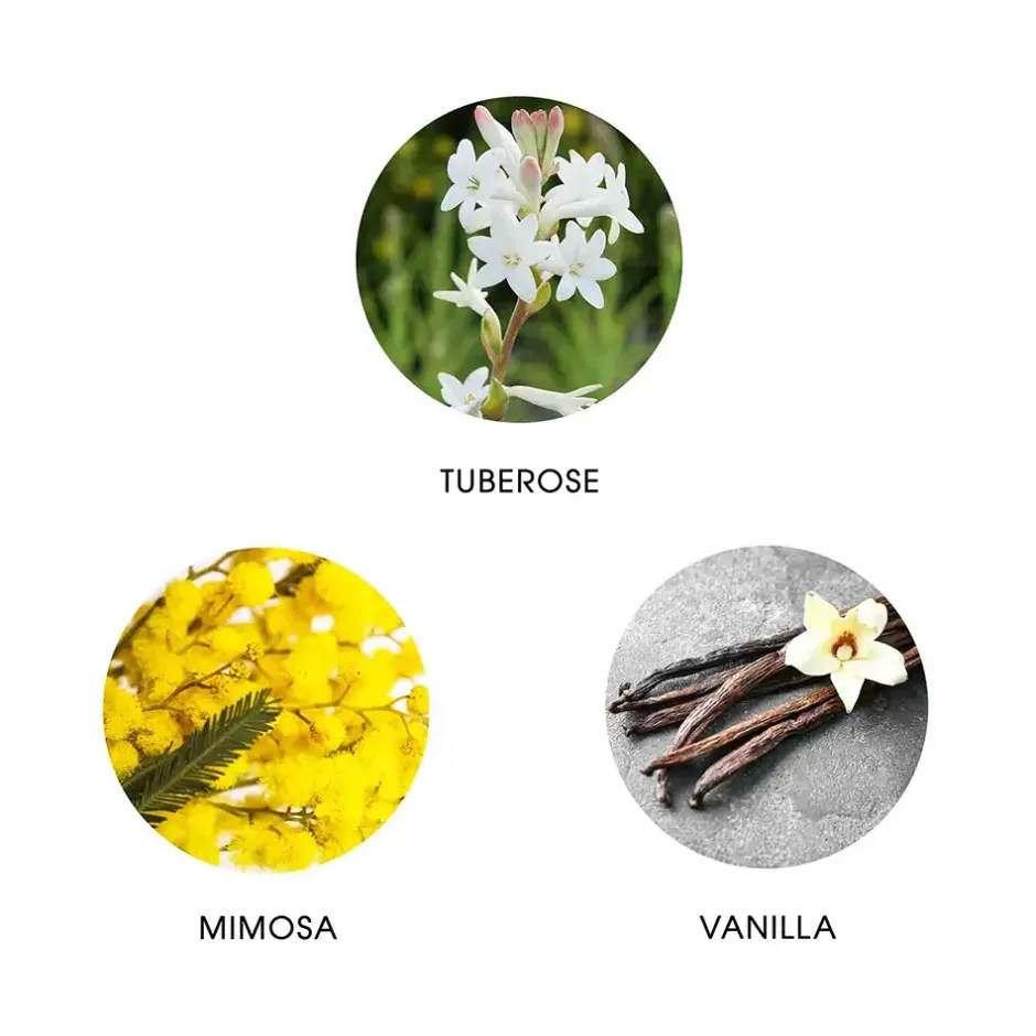 FiiLiT Parfum*Eau De Parfum - La Perla Maya Yucatan