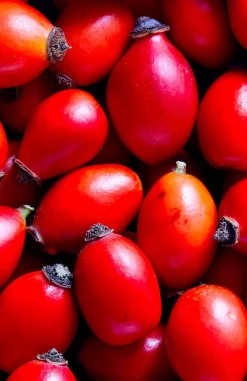 FiordiFrutta Paleo Aip | Fruitspreads*Fruitspread Rozenbottel - BIO