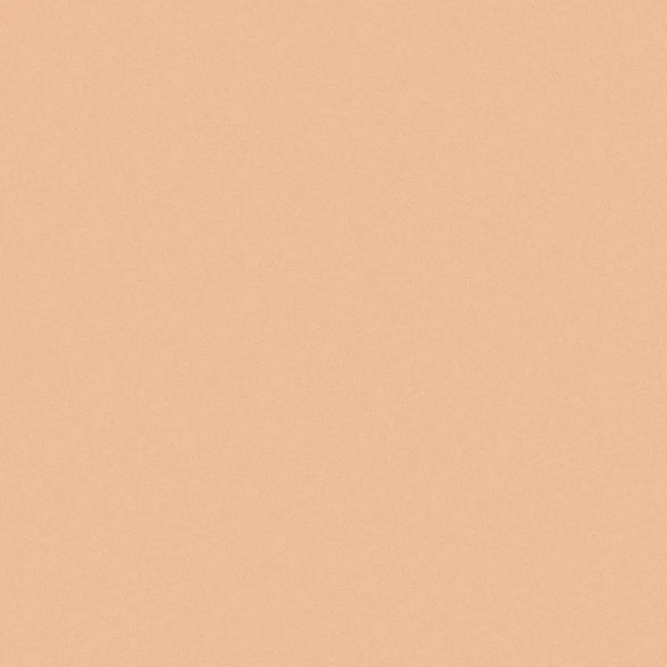 INIKA Gezicht/Concealer*Full Coverage Concealer - Vanilla - 3.5g - BIO