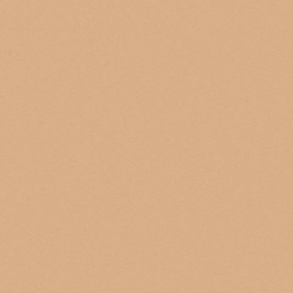 INIKA Gezicht/Concealer*Full Coverage Concealer - Sand - 3.5g - BIO