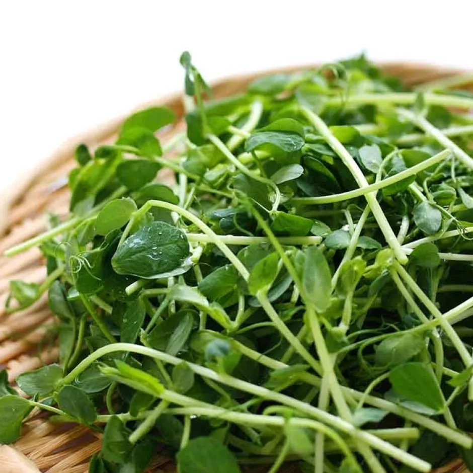 De Bolster Kiemgroenten*Groene Erwt - Kiemgroente - 50g - BIO