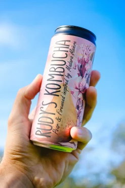 Rudy's Darmen | Kombucha*Kombucha - Peer & Wilgenroosje - 330ml