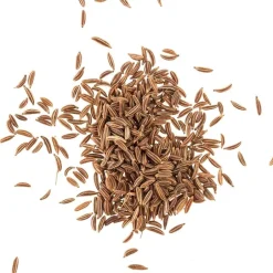 Het Blauwe Huis Kruiden & Specerijen*Komijn zaad 40g - BIO