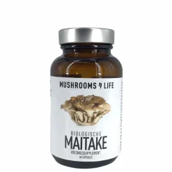Mushrooms4Life Paddenstoelen*Maitake - Organische Paddenstoel - 60caps - BIO
