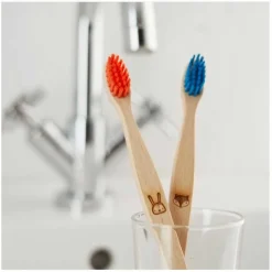 ecoLiving Baby & Kind | Mondverzorging/Tandenborstel*Tandenborstel voor Kinderen - Vos - Blauw