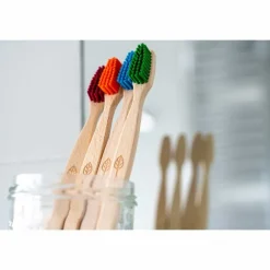 ecoLiving Mondverzorging/Tandenborstel | Tandenborstels*Tandenborstel voor Volwassenen - Blauw
