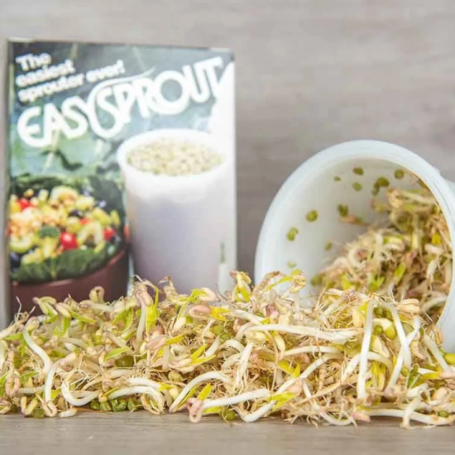 De Bolster Kiemgroenten*Taugé - Kiemgroente - 25g - BIO