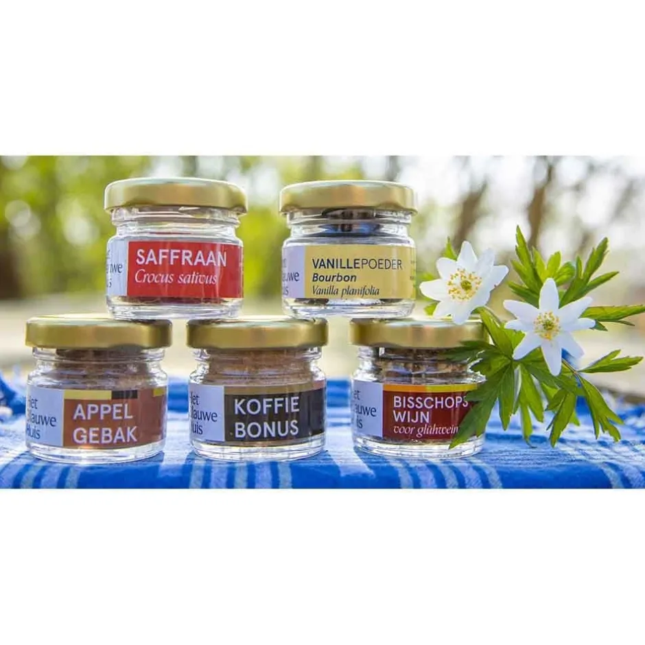 Het Blauwe Huis Kruiden & Specerijen | Kruiden / Extracten*Vanillepoeder Bourbon - 4g - BIO