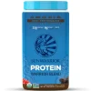 Sunwarrior Spieren | Proteïne Poeders*Warrior Blend Biologische Proteïne Chocolade - 750g - BIO