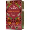 Pukka Thee*Winter Warmer - Kruidenthee - BIO